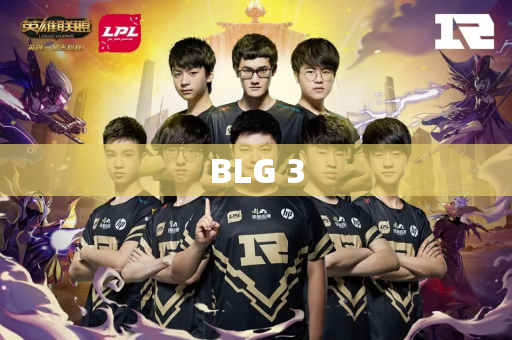 BLG 3