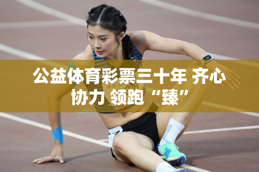 公益体育彩票三十年 齐心协力 领跑“臻”