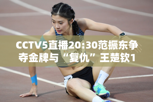 CCTV5直播20:30范振东争夺金牌与“复仇”王楚钦19:30铜牌比赛
