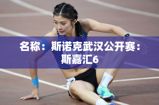 名称：斯诺克武汉公开赛：斯嘉汇6