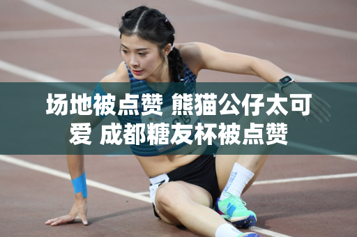 场地被点赞 熊猫公仔太可爱 成都糖友杯被点赞